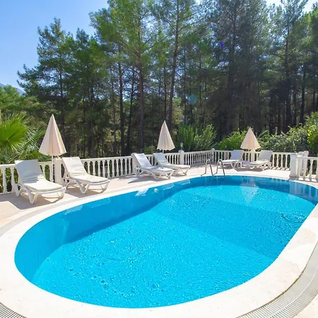 Brookland Paris, özel Havuzlu, *