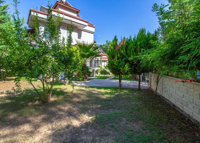 Villa Brookland Paris, Oezel Havuzlu,